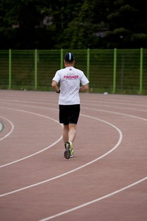 米兰体育app官网入口-高校运动训练效果科学评估研究,运动训练高校排名