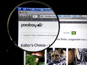 AC MILAN SPORTS全站-体育新闻中心发布体育短视频传播效果白皮书，体育短视频成为平台和用户的新宠